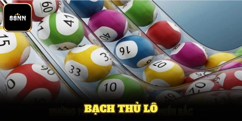 Nuôi Lô Bạch Thủ - Bật Mí Kinh Nghiệm Hiệu Quả Từ Cao Thủ