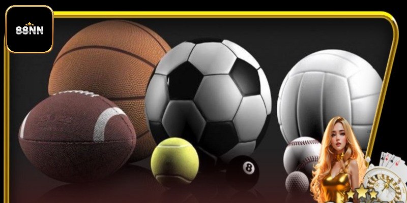 Top 5 môn thể thao hấp dẫn